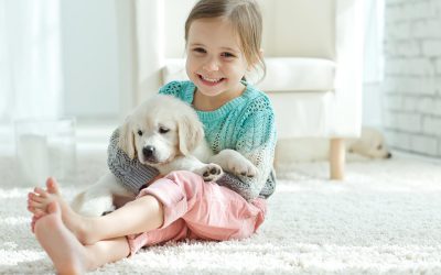 Challenges of Cleaning Oriental Rugs with Pet Stains and How to Handle Them